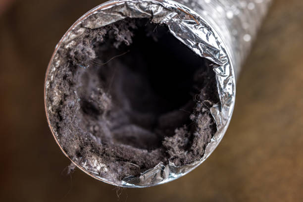 Best Air Duct Mold Removal  in Hazard, KY